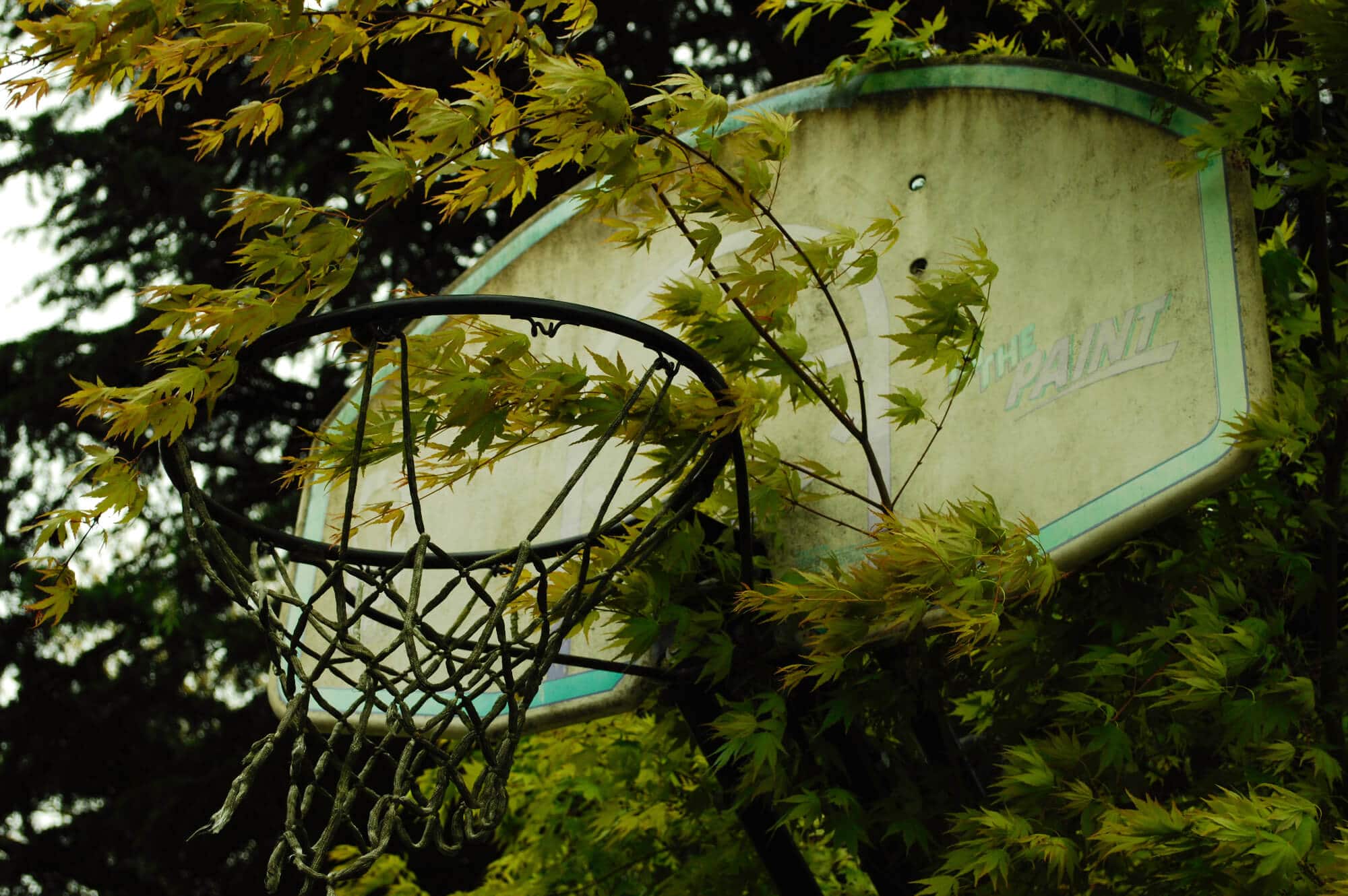 Pourquoi adopter la nouvelle marque de basketball Zéro ? 2 Zéro, une marque pour les basketteurs engagés dans une mode éthique